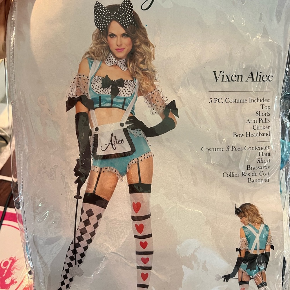 Woman’s Alice Costume
